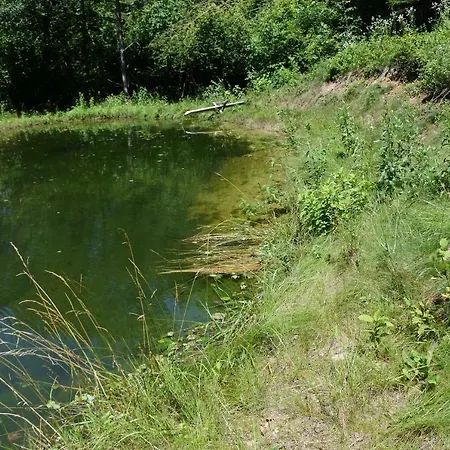 Kaiser Апартаменты *